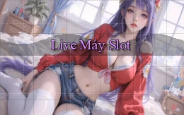 Live Máy slot