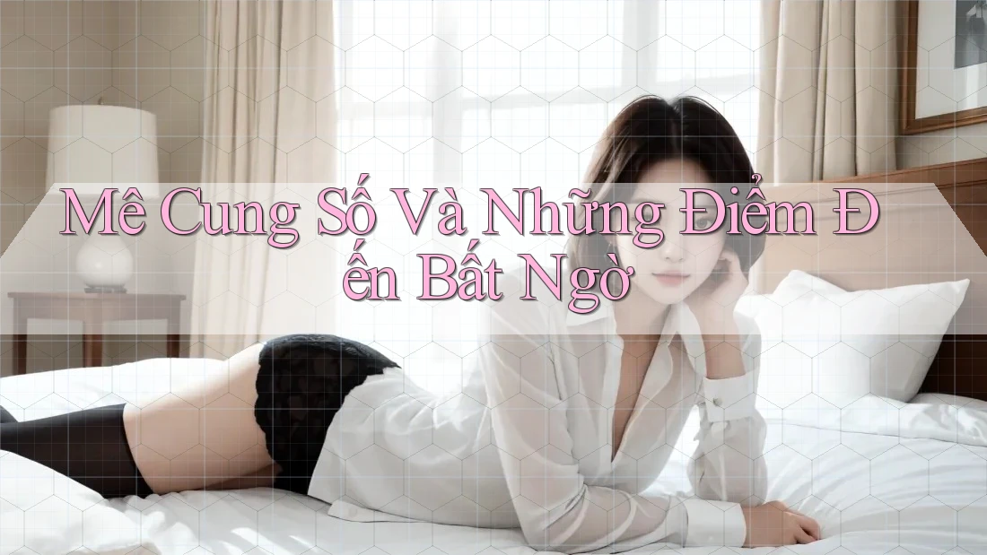 Mê Cung Số Và Những Điểm Đến Bất Ngờ Mê Cung Số Và Những Điểm Đến Bất Ngờ